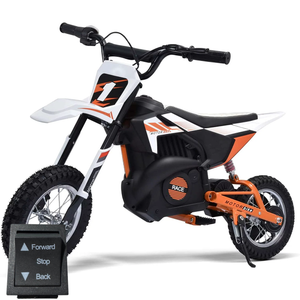 Replacement Forward/Back Switch for 24v 250W Chain Driven Dirt Bike
